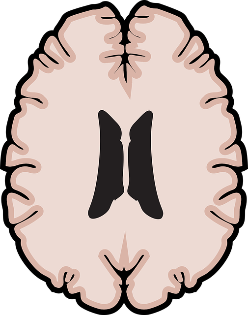 mental-health-640x480-15528554.png