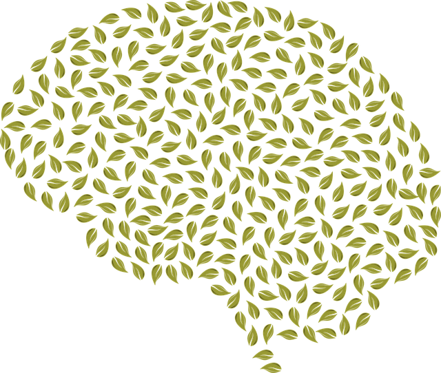 mental-health-640x480-17840307.png