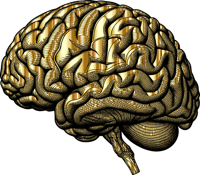 mental-health-640x480-33518876.png