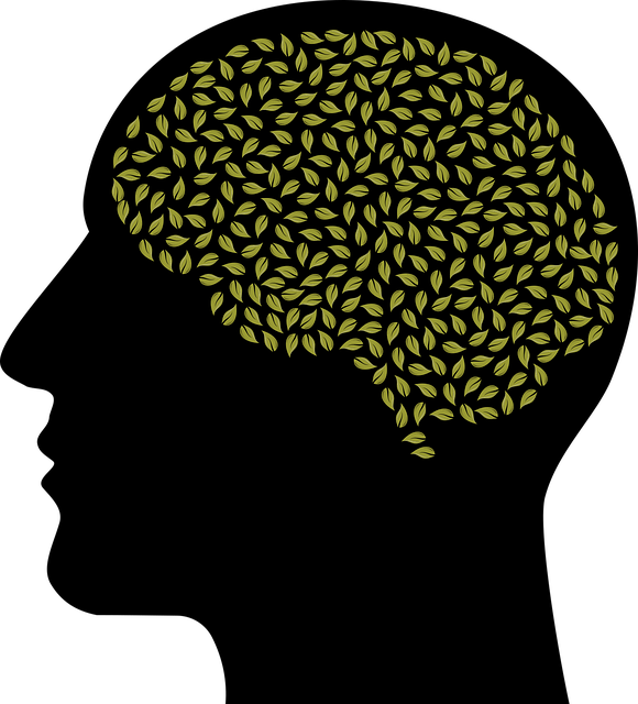 mental-health-640x480-33905248.png