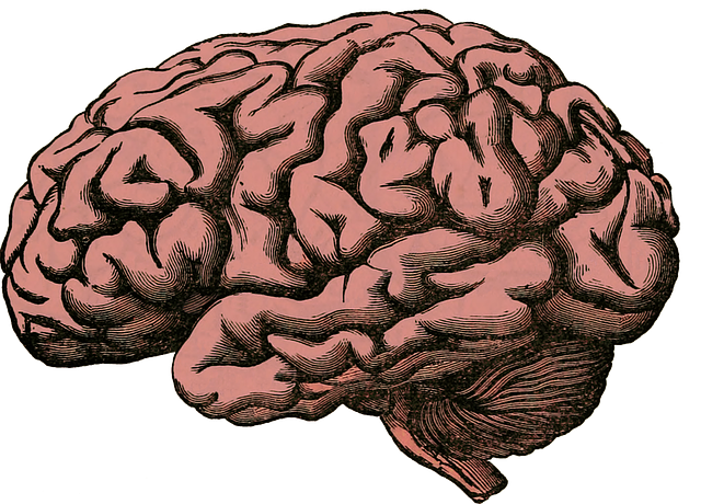 mental-health-640x480-51867647.png