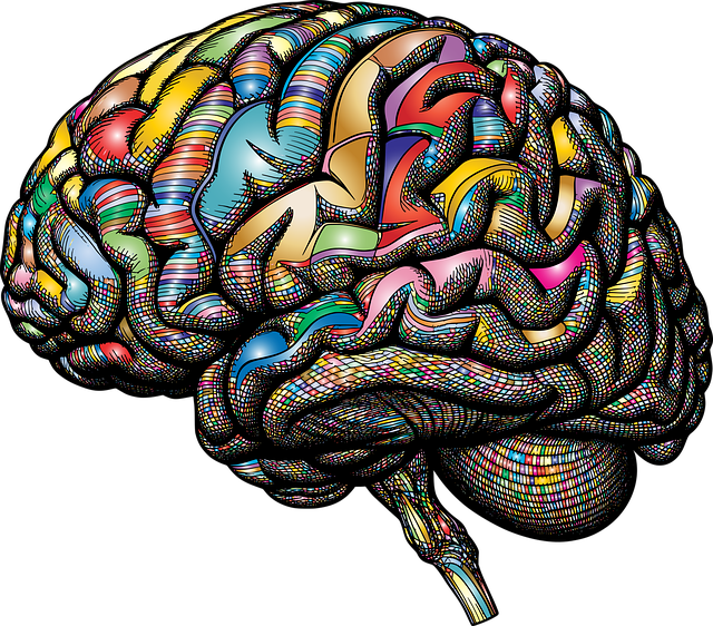 mental-health-640x480-58291765.png