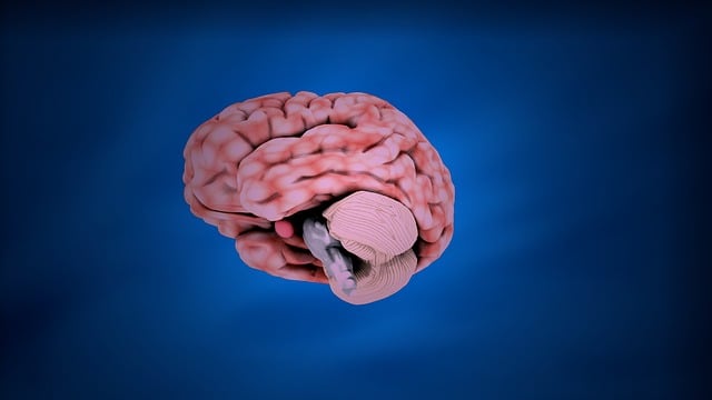 mental-health-640x480-19565491.jpeg