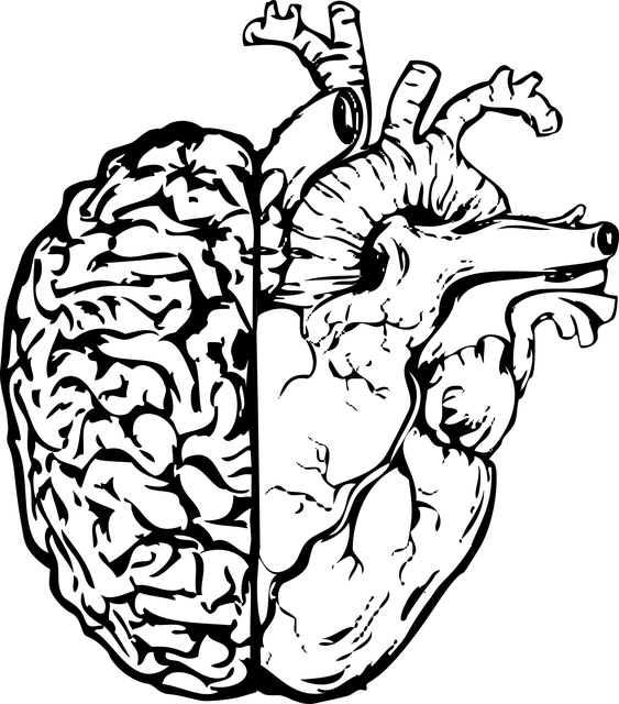 mental-health-640x480-19756456.png
