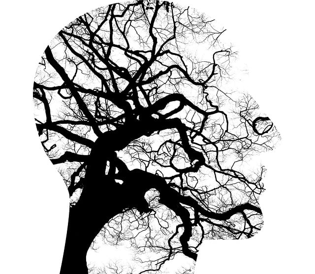 mental-health-640x480-7806384.jpeg